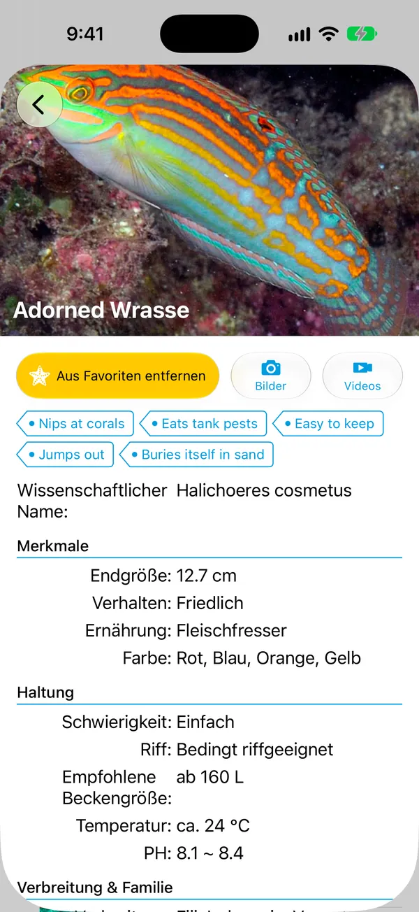 Bildschirm mit den Artdetails
