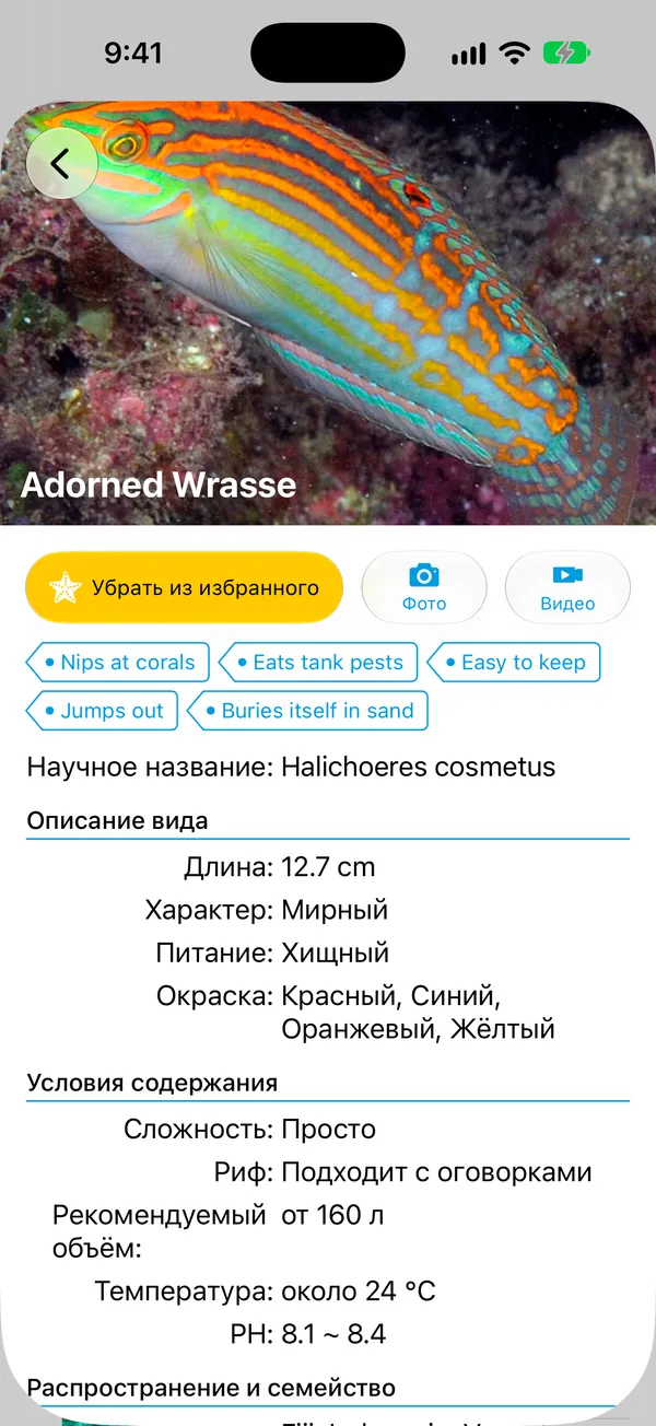 Экран карточки вида