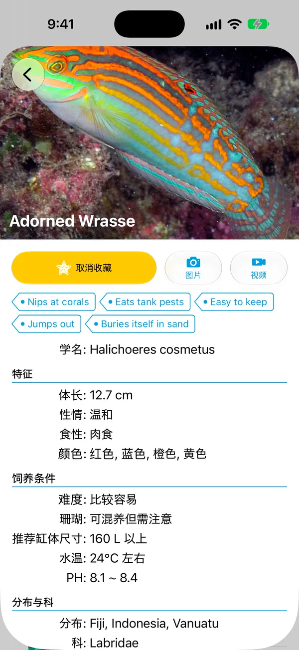 物种详情界面